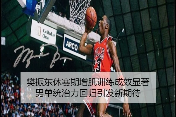 樊振东休赛期增肌训练成效显著 男单统治力回归引发新期待